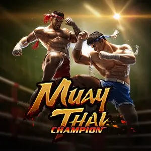 Muay Thai Champion
